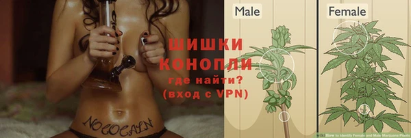 apvp Верхний Тагил