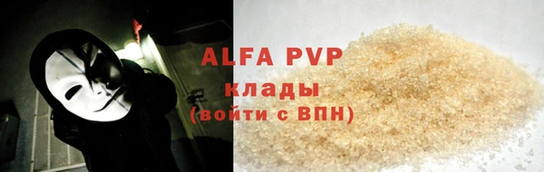 стаф Волоколамск