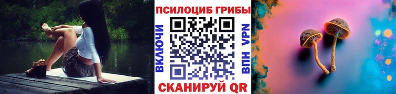 Купить где  Пустошка  Псилоцибиновые грибы MAGIC MUSHROOMS 